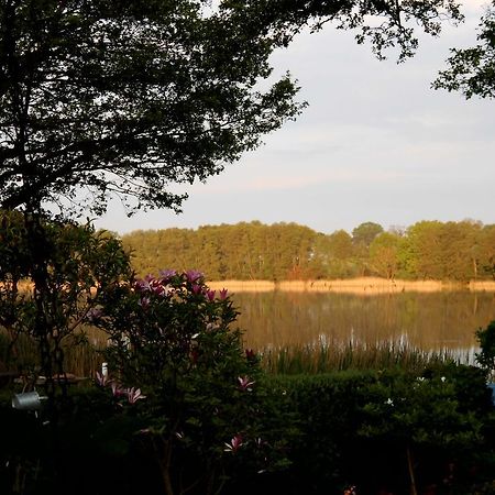 Bungalow Idylle Am See นอยรุพพิน ภายนอก รูปภาพ