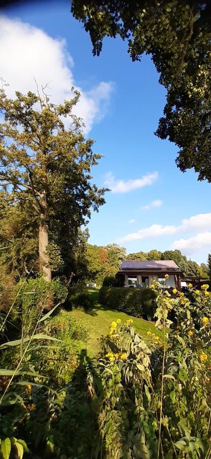 Bungalow Idylle Am See นอยรุพพิน ภายนอก รูปภาพ