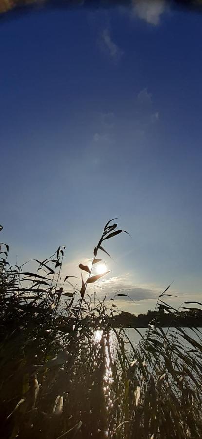 Bungalow Idylle Am See นอยรุพพิน ภายนอก รูปภาพ