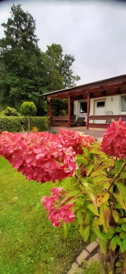 Bungalow Idylle Am See นอยรุพพิน ภายนอก รูปภาพ