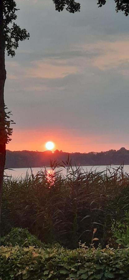 Bungalow Idylle Am See นอยรุพพิน ภายนอก รูปภาพ