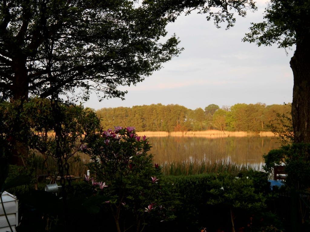 Bungalow Idylle Am See นอยรุพพิน ภายนอก รูปภาพ
